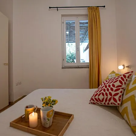 Eucalipto Villa Valledoria (Sardinia)