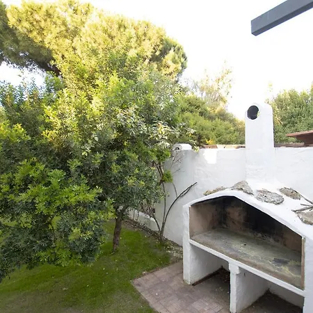 Eucalipto Villa Valledoria (Sardinia)