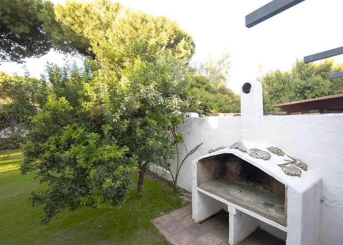 Eucalipto Villa Valledoria (Sardinia)