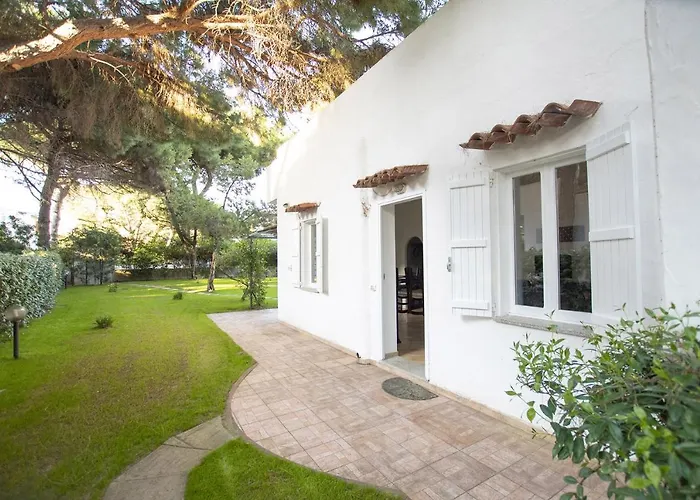 Eucalipto Valledoria (Sardinia)