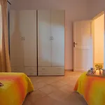 Eucalipto