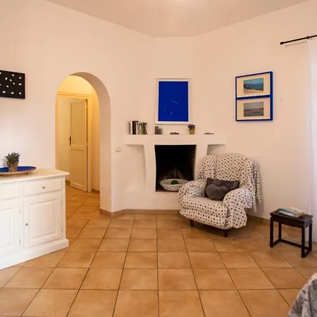 Eucalipto Valledoria (Sardinia)